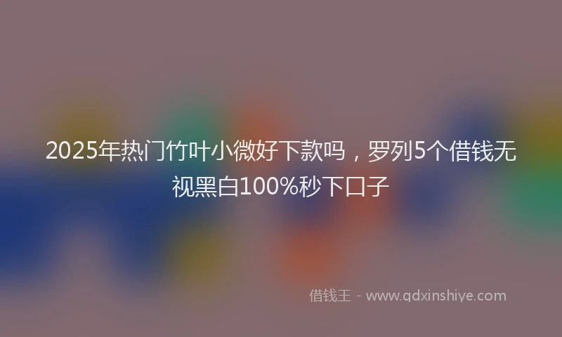 2025年热门竹叶小微好下款吗，罗列5个借钱无视黑白100%秒下口子