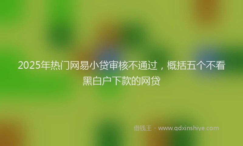 2025年热门网易小贷审核不通过，概括五个不看黑白户下款的网贷