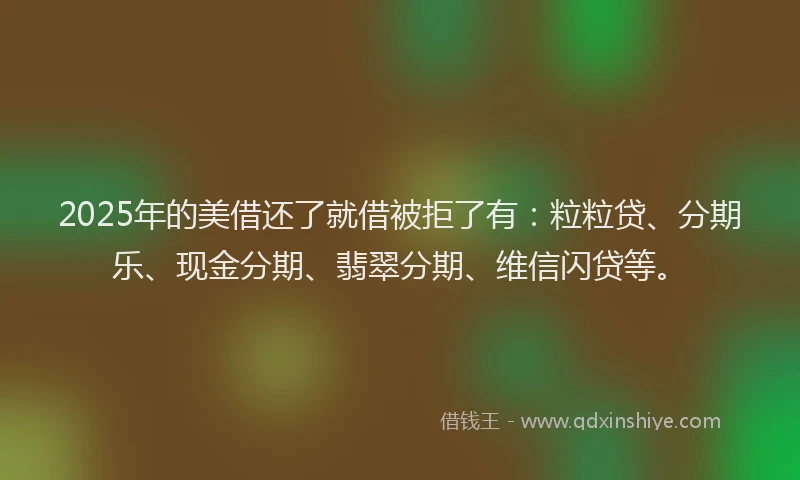 2025年的美借还了就借被拒了有：粒粒贷、分期乐、现金分期、翡翠分期、维信闪贷等。