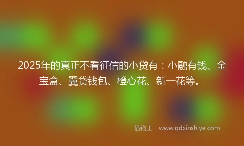 2025年的真正不看征信的小贷有：小融有钱、金宝盒、翼贷钱包、橙心花、新一花等。