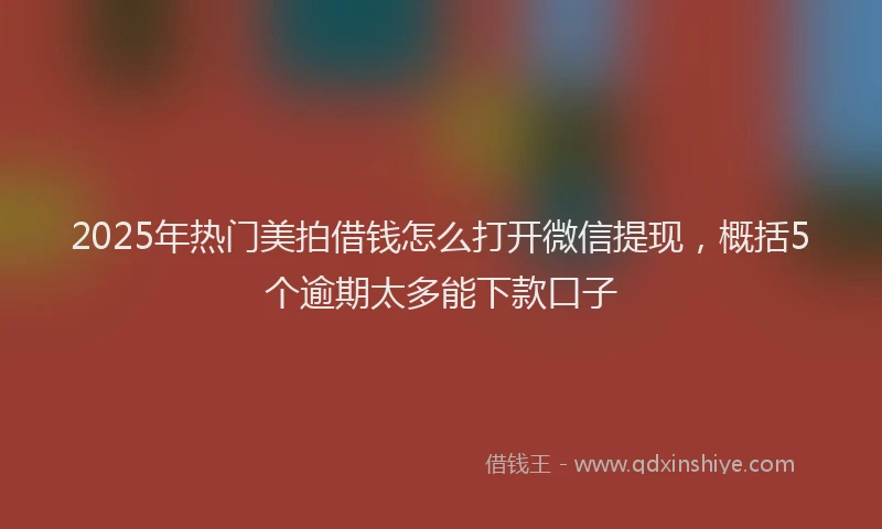 2025年热门美拍借钱怎么打开微信提现，概括5个逾期太多能下款口子