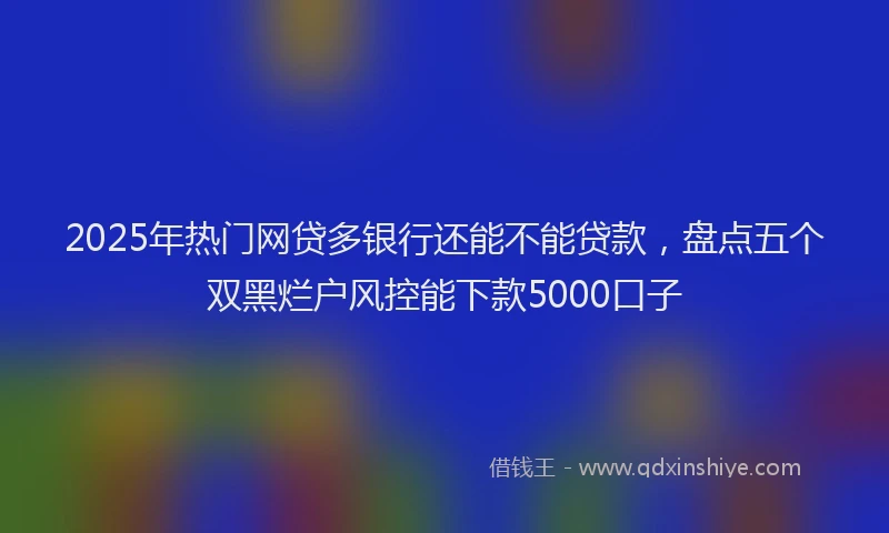 2025年热门网贷多银行还能不能贷款，盘点五个双黑烂户风控能下款5000口子
