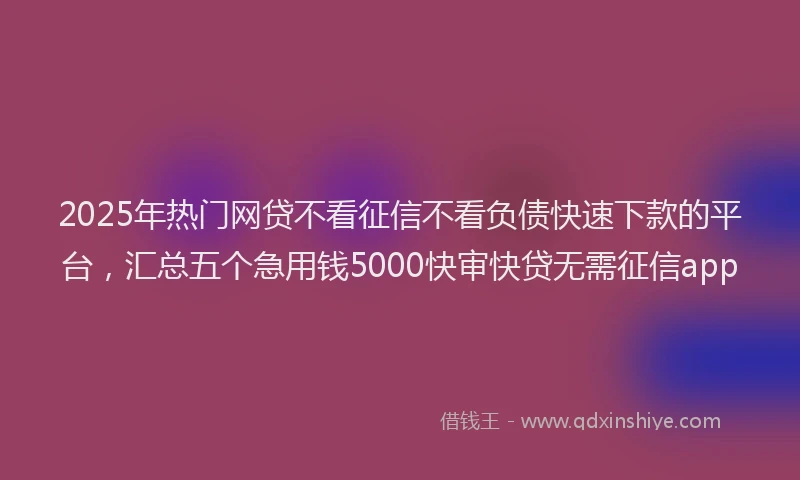 2025年热门网贷不看征信不看负债快速下款的平台，汇总五个急用钱5000快审快贷无需征信app