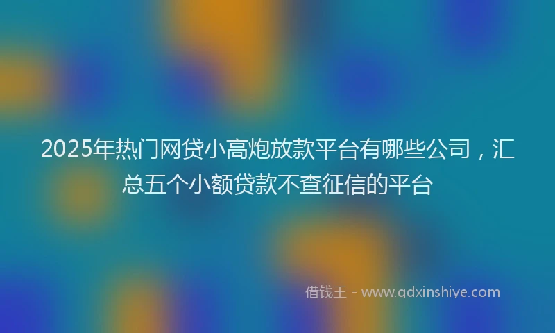 2025年热门网贷小高炮放款平台有哪些公司,汇总五个小额贷款不查征信的平台