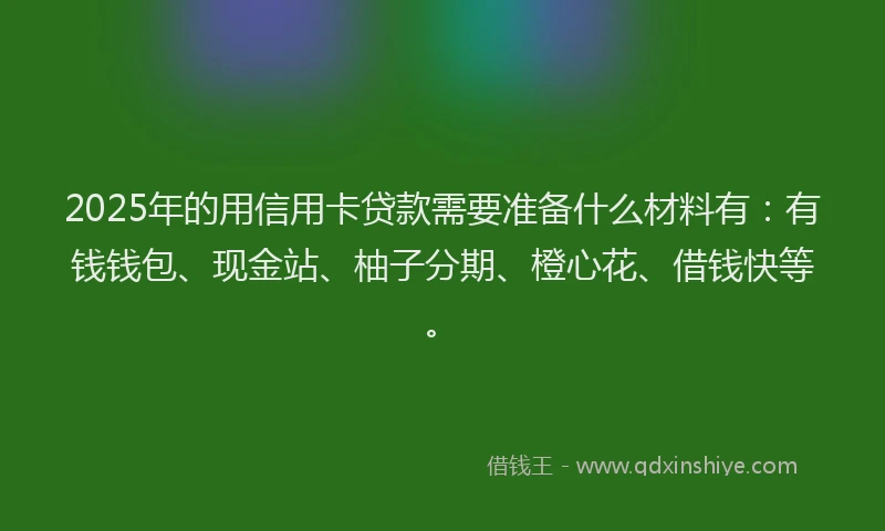 2025年的用信用卡贷款需要准备什么材料有：有钱钱包、现金站、柚子分期、橙心花、借钱快等。