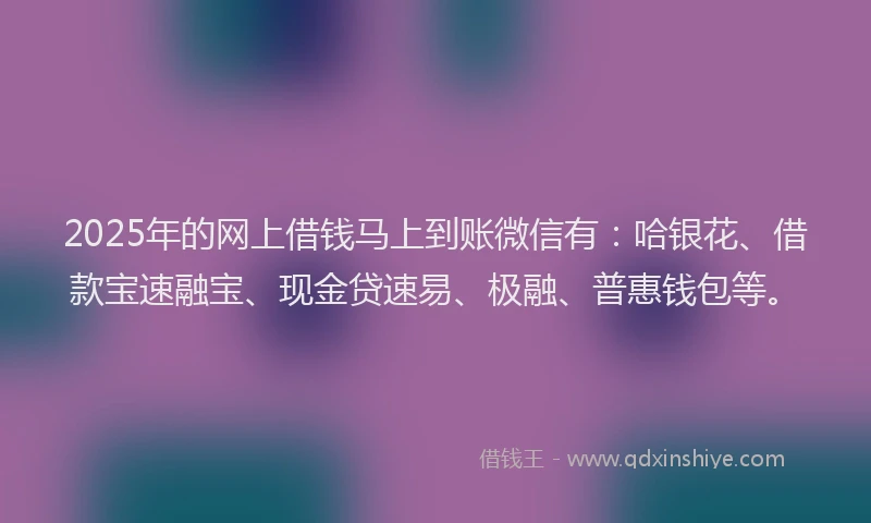 2025年的网上借钱马上到账微信有：哈银花、借款宝速融宝、现金贷速易、极融、普惠钱包等。