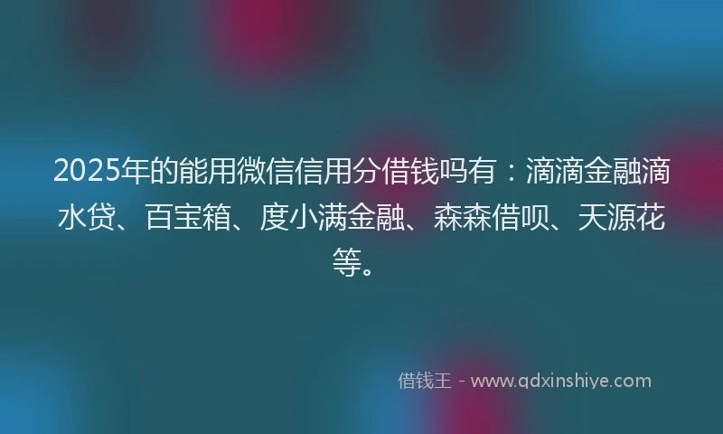 2025年的能用微信信用分借钱吗有：滴滴金融滴水贷、百宝箱、度小满金融、森森借呗、天源花等。
