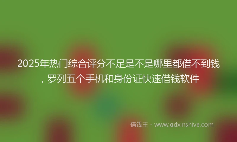 2025年热门综合评分不足是不是哪里都借不到钱，罗列五个手机和身份证快速借钱软件