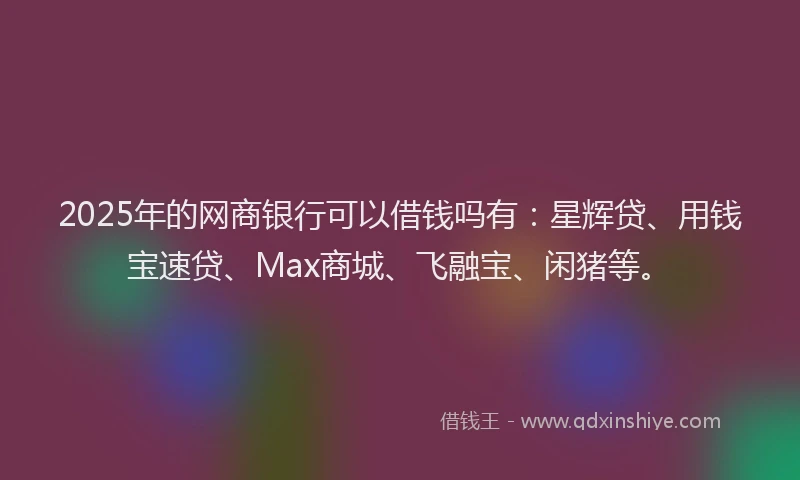 2025年的网商银行可以借钱吗有：星辉贷、用钱宝速贷、Max商城、飞融宝、闲猪等。