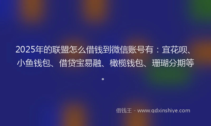 2025年的联盟怎么借钱到微信账号有：宜花呗、小鱼钱包、借贷宝易融、橄榄钱包、珊瑚分期等。