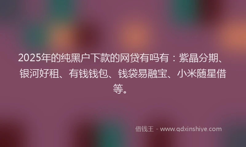 2025年的纯黑户下款的网贷有吗有：紫晶分期、银河好租、有钱钱包、钱袋易融宝、小米随星借等。