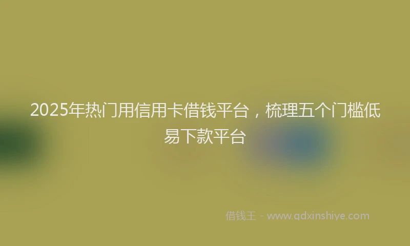 2025年热门用信用卡借钱平台，梳理五个门槛低易下款平台