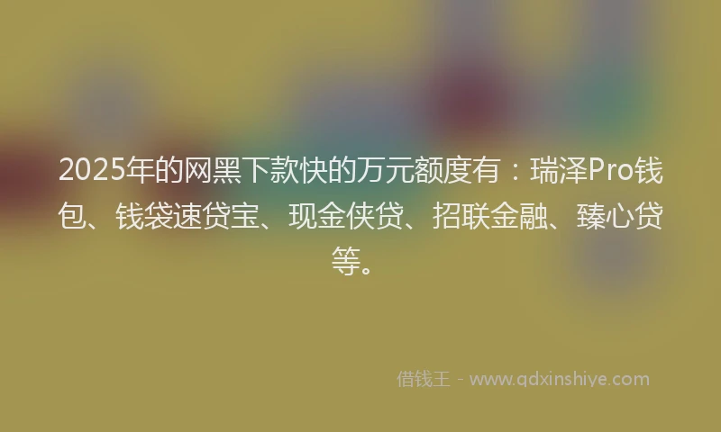 2025年的网黑下款快的万元额度有：瑞泽Pro钱包、钱袋速贷宝、现金侠贷、招联金融、臻心贷等。