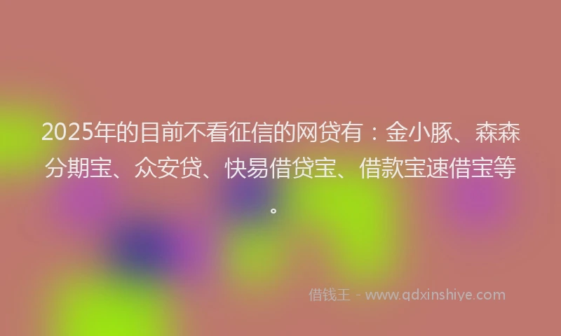 2025年的目前不看征信的网贷有：金小豚、森森分期宝、众安贷、快易借贷宝、借款宝速借宝等。