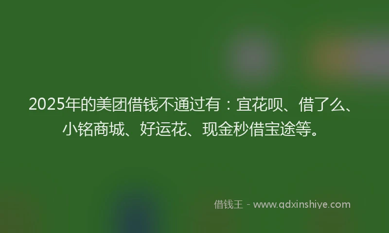 2025年的美团借钱不通过有：宜花呗、借了么、小铭商城、好运花、现金秒借宝途等。