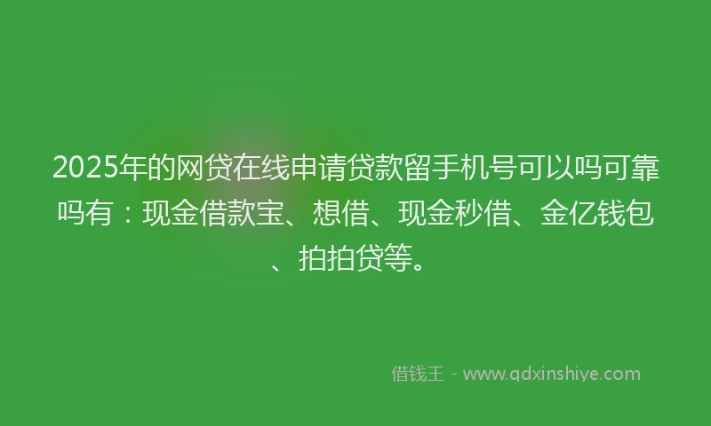 2025年的网贷在线申请贷款留手机号可以吗可靠吗有：现金借款宝、想借、现金秒借、金亿钱包、拍拍贷等。