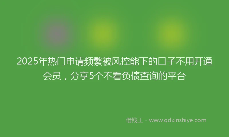 2025年热门申请频繁被风控能下的口子不用开通会员，分享5个不看负债查询的平台