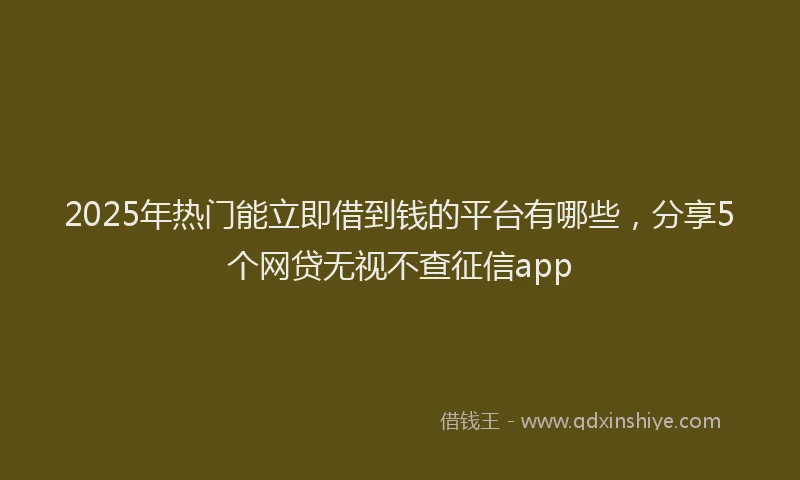 2025年热门能立即借到钱的平台有哪些,分享5个网贷无视不查征信app