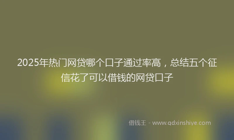 2025年热门网贷哪个口子通过率高，总结五个征信花了可以借钱的网贷口子