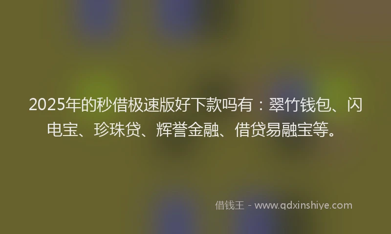 2025年的秒借极速版好下款吗有：翠竹钱包、闪电宝、珍珠贷、辉誉金融、借贷易融宝等。