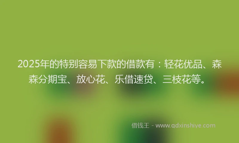 2025年的特别容易下款的借款有：轻花优品、森森分期宝、放心花、乐借速贷、三枝花等。