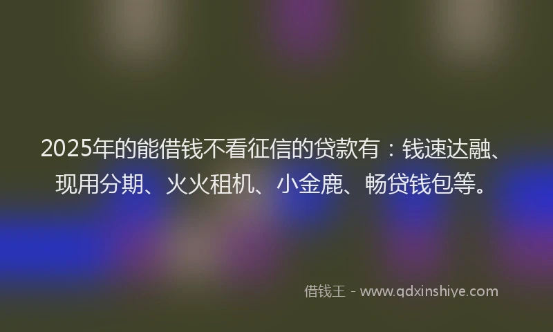 2025年的能借钱不看征信的贷款有：钱速达融、现用分期、火火租机、小金鹿、畅贷钱包等。