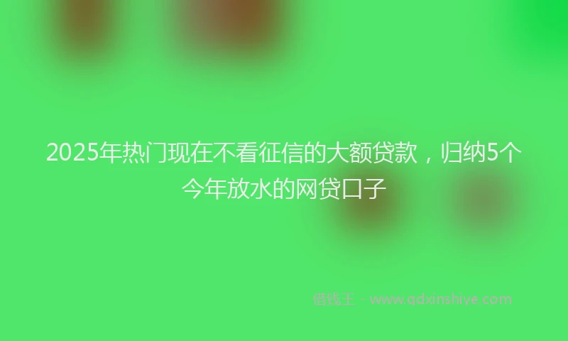 2025年热门现在不看征信的大额贷款，归纳5个今年放水的网贷口子