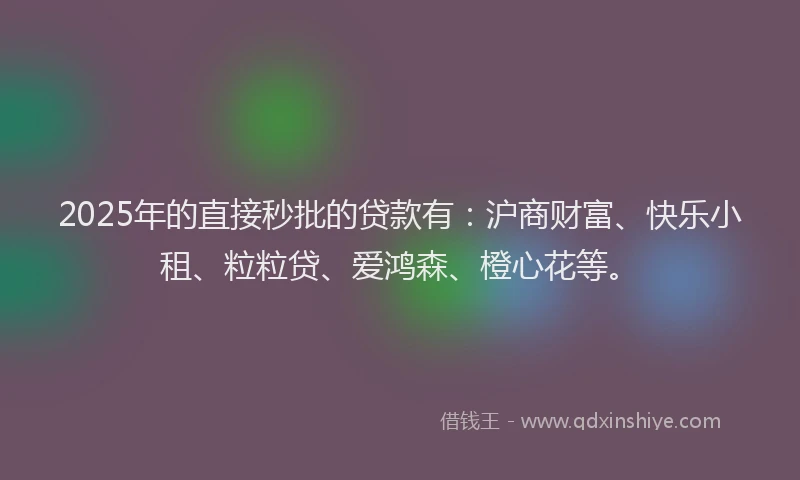 2025年的直接秒批的贷款有：沪商财富、快乐小租、粒粒贷、爱鸿森、橙心花等。