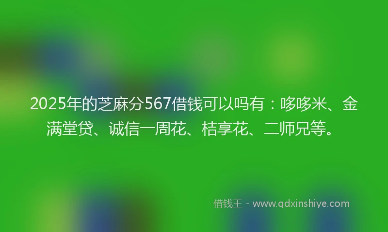 2025年的芝麻分567借钱可以吗有:哆哆米、金满堂贷、诚信一周花、桔享花、二师兄等。