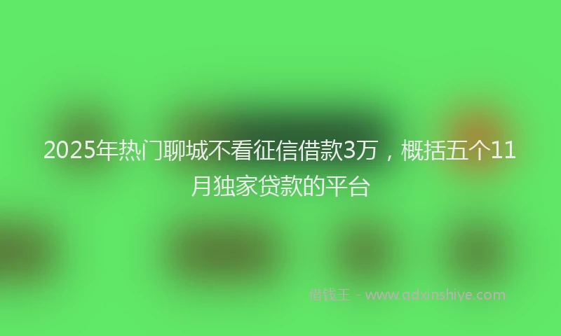 2025年热门聊城不看征信借款3万，概括五个11月独家贷款的平台