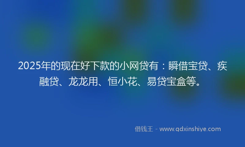 2025年的现在好下款的小网贷有：瞬借宝贷、疾融贷、龙龙用、恒小花、易贷宝盒等。