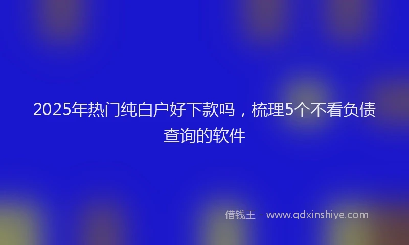 2025年热门纯白户好下款吗，梳理5个不看负债查询的软件