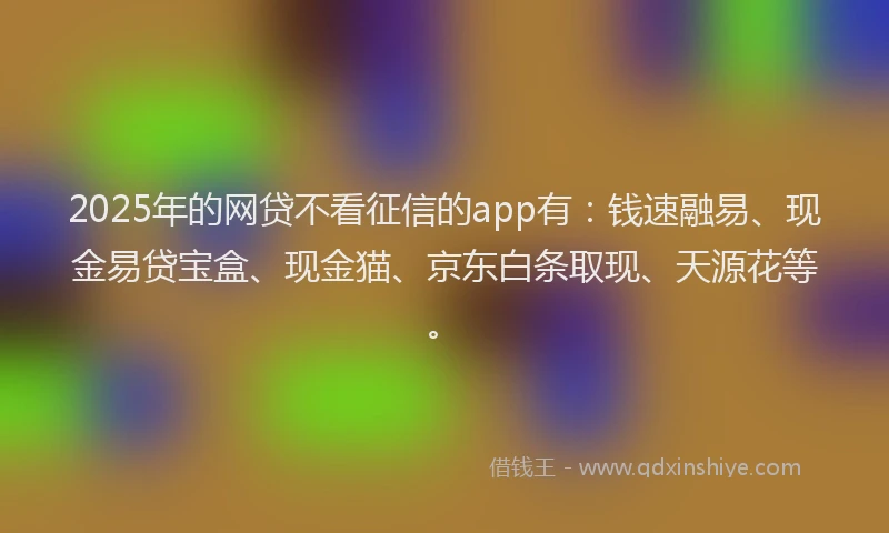 2025年的网贷不看征信的app有：钱速融易、现金易贷宝盒、现金猫、京东白条取现、天源花等。