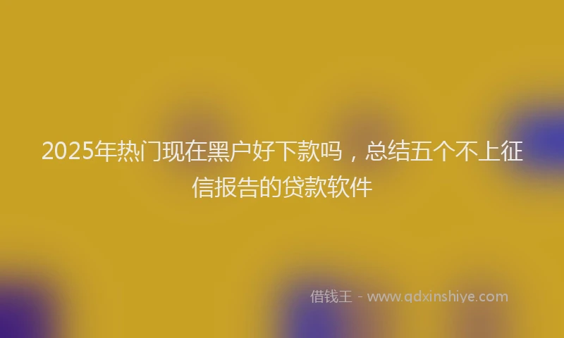 2025年热门现在黑户好下款吗,总结五个不上征信报告的贷款软件