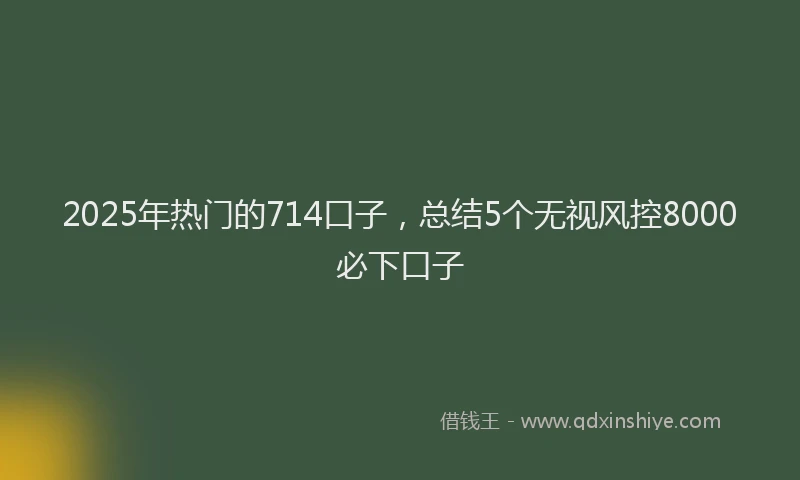 2025年热门的714口子，总结5个无视风控8000必下口子