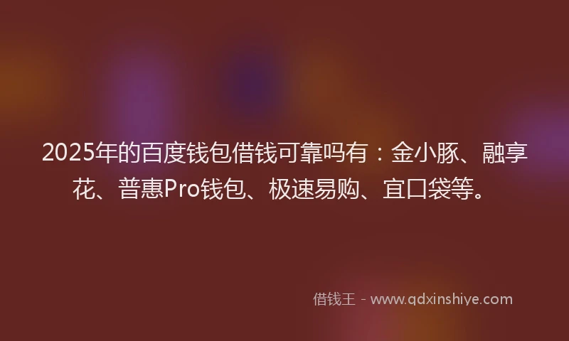2025年的百度钱包借钱可靠吗有：金小豚、融享花、普惠Pro钱包、极速易购、宜口袋等。