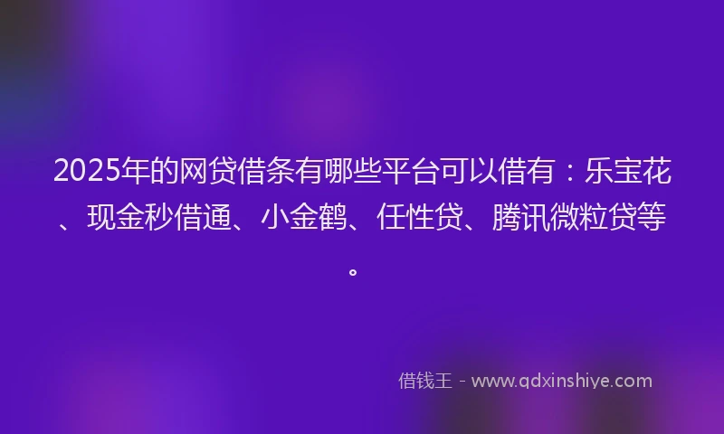 2025年的网贷借条有哪些平台可以借有：乐宝花、现金秒借通、小金鹤、任性贷、腾讯微粒贷等。