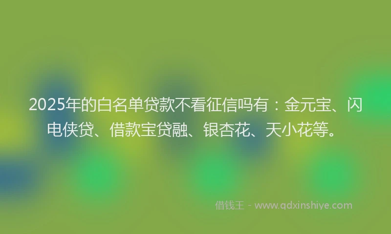 2025年的白名单贷款不看征信吗有：金元宝、闪电侠贷、借款宝贷融、银杏花、天小花等。