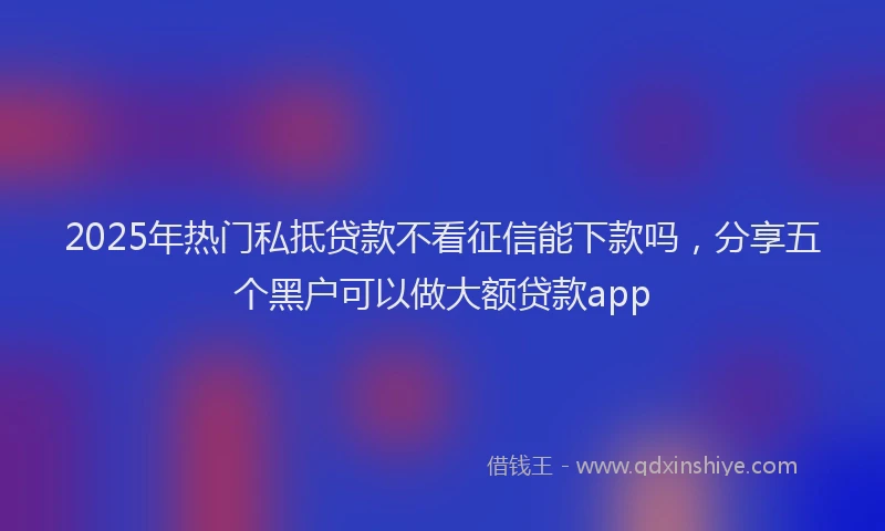 2025年热门私抵贷款不看征信能下款吗，分享五个黑户可以做大额贷款app