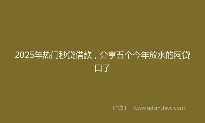 2025年热门秒贷借款,分享五个今年放水的网贷口子