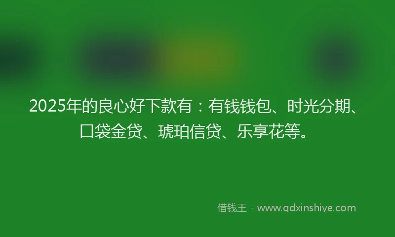 2025年的良心好下款有：有钱钱包、时光分期、口袋金贷、琥珀信贷、乐享花等。