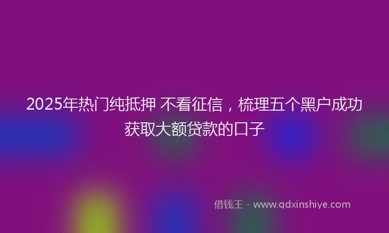 2025年热门纯抵押 不看征信，梳理五个黑户成功获取大额贷款的口子