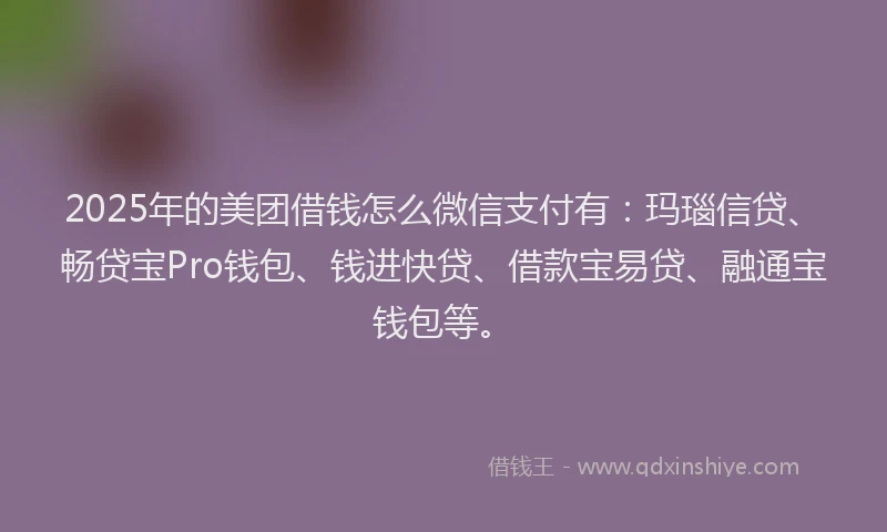 2025年的美团借钱怎么微信支付有:玛瑙信贷、畅贷宝Pro钱包、钱进快贷、借款宝易贷、融通宝钱包等。