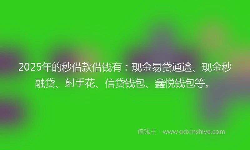 2025年的秒借款借钱有：现金易贷通途、现金秒融贷、射手花、信贷钱包、鑫悦钱包等。