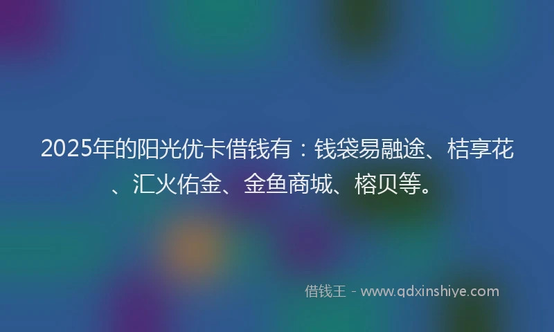 2025年的阳光优卡借钱有：钱袋易融途、桔享花、汇火佑金、金鱼商城、榕贝等。