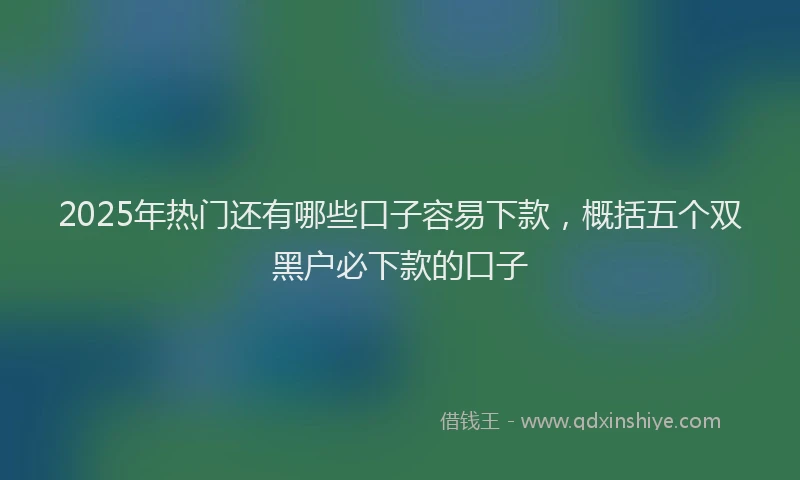2025年热门还有哪些口子容易下款,概括五个双黑户必下款的口子
