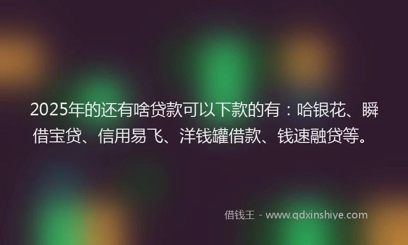 2025年的还有啥贷款可以下款的有：哈银花、瞬借宝贷、信用易飞、洋钱罐借款、钱速融贷等。