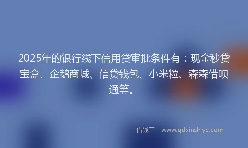 2025年的银行线下信用贷审批条件有：现金秒贷宝盒、企鹅商城、信贷钱包、小米粒、森森借呗通等。
