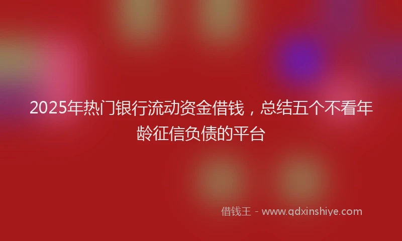 2025年热门银行流动资金借钱,总结五个不看年龄征信负债的平台