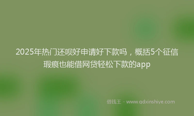 2025年热门还呗好申请好下款吗，概括5个征信瑕疵也能借网贷轻松下款的app